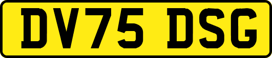 DV75DSG