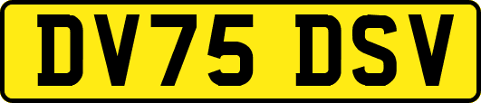 DV75DSV