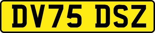 DV75DSZ