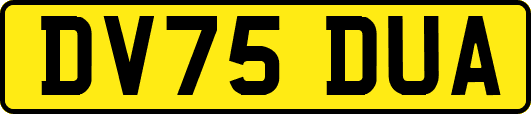 DV75DUA