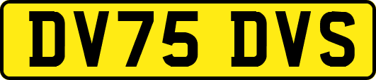 DV75DVS
