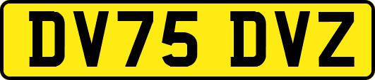 DV75DVZ