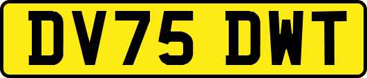 DV75DWT