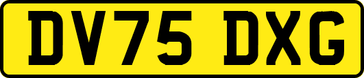 DV75DXG