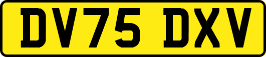 DV75DXV