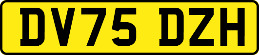 DV75DZH