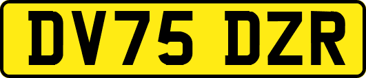 DV75DZR