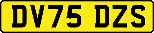 DV75DZS