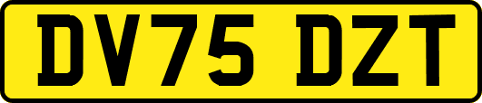 DV75DZT