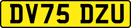 DV75DZU