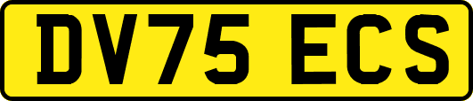 DV75ECS