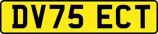 DV75ECT