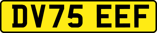 DV75EEF