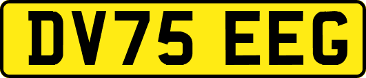 DV75EEG