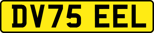 DV75EEL