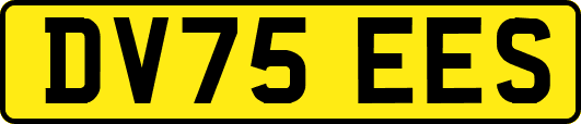 DV75EES