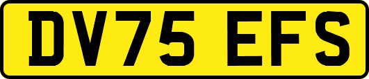 DV75EFS