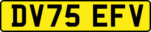 DV75EFV