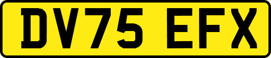 DV75EFX