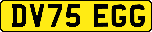 DV75EGG