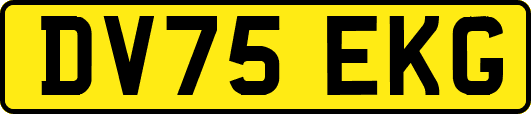 DV75EKG