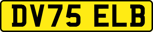 DV75ELB