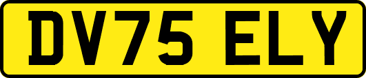 DV75ELY