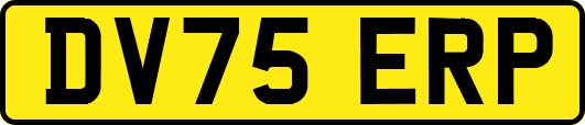 DV75ERP