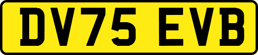 DV75EVB