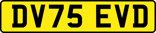 DV75EVD