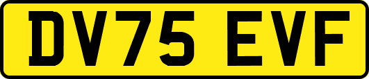 DV75EVF