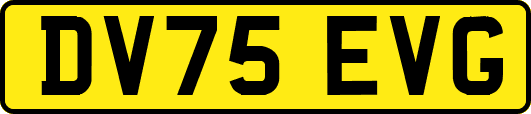 DV75EVG