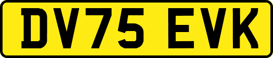 DV75EVK