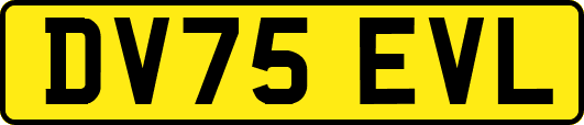 DV75EVL