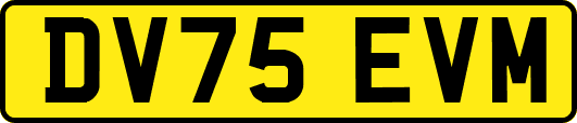 DV75EVM