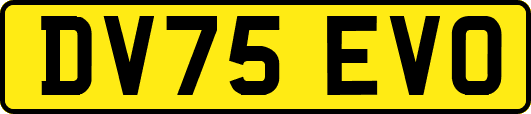 DV75EVO
