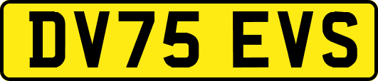 DV75EVS