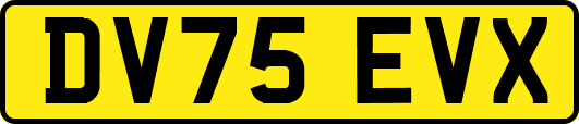 DV75EVX