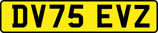 DV75EVZ
