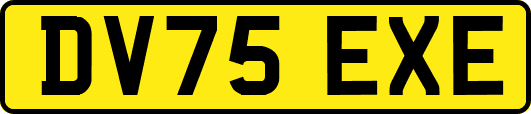 DV75EXE