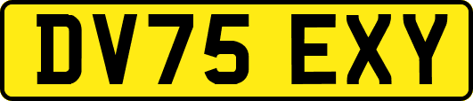 DV75EXY