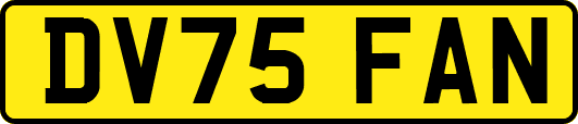 DV75FAN