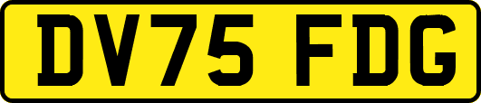 DV75FDG