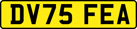 DV75FEA