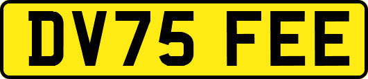 DV75FEE