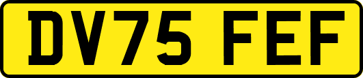 DV75FEF