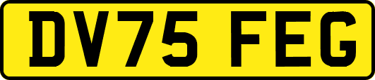 DV75FEG