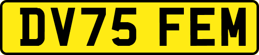 DV75FEM