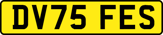 DV75FES