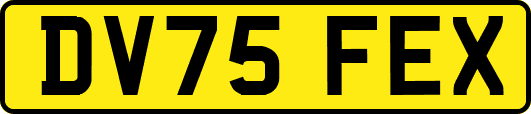 DV75FEX